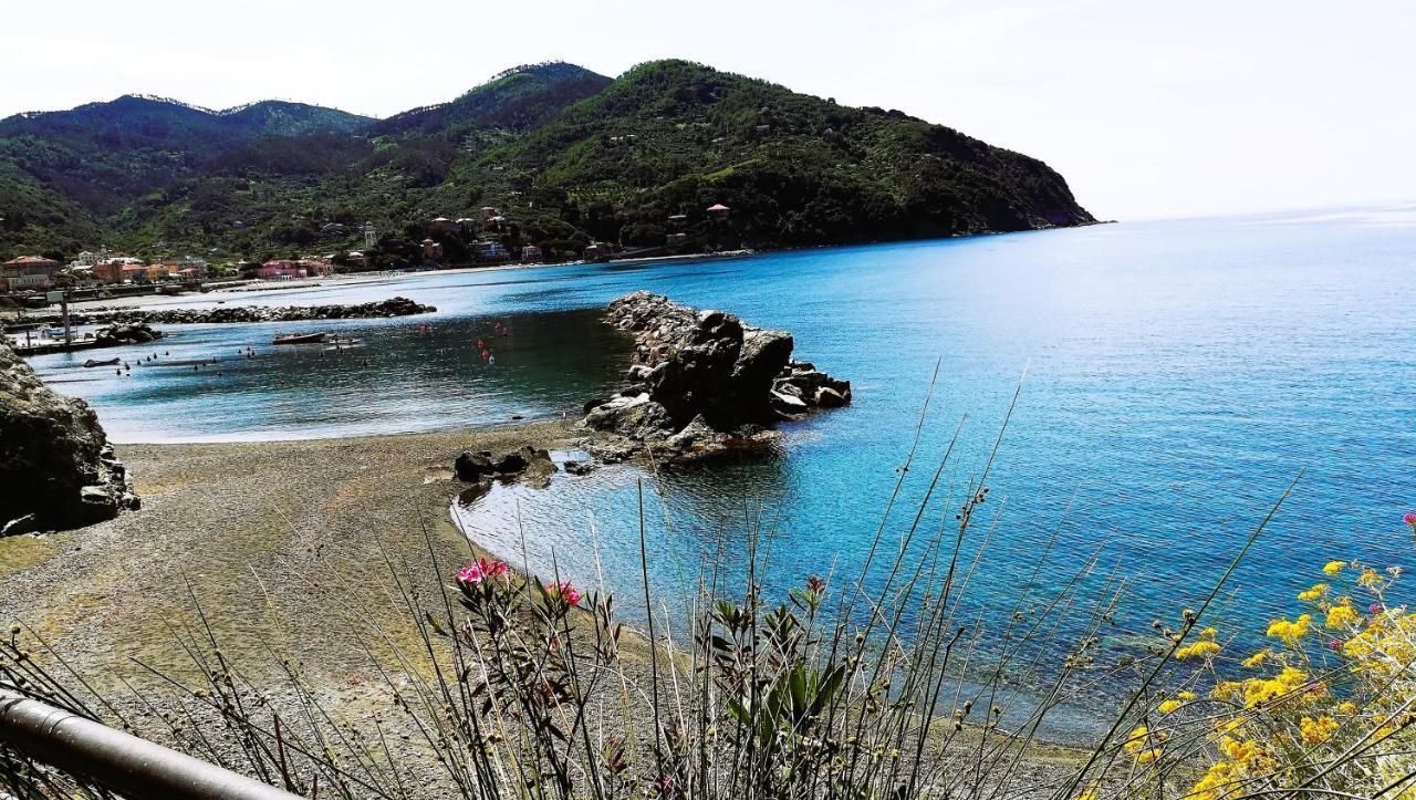 Oasi Felice Daire Levanto Dış mekan fotoğraf
