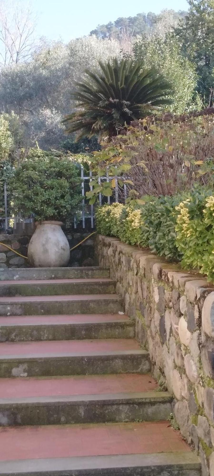 Oasi Felice Daire Levanto Dış mekan fotoğraf